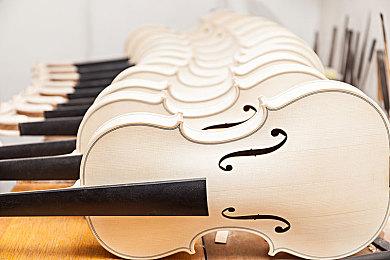 梵高博物馆宝可梦活动再出状况 用户订单被无故取消